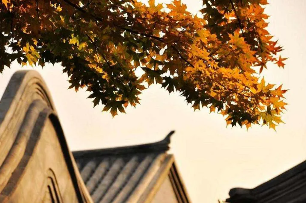 微信截图_20211209114533.png