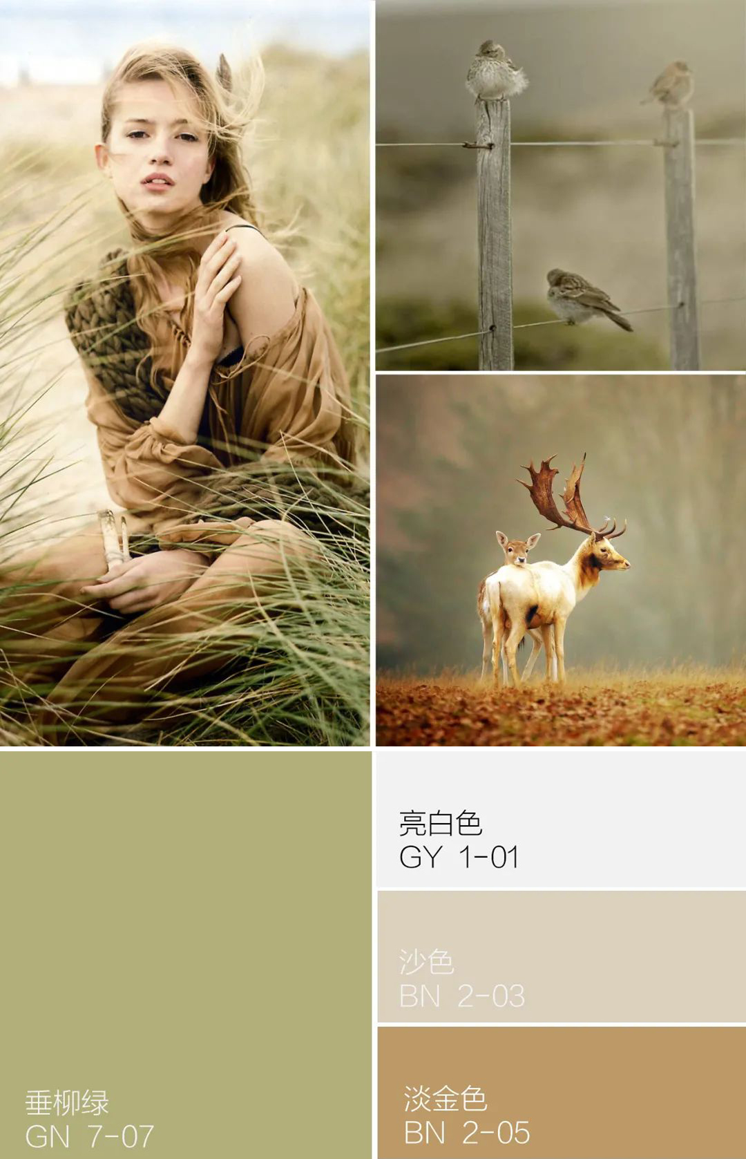 美神集团英式MT家具7.jpg