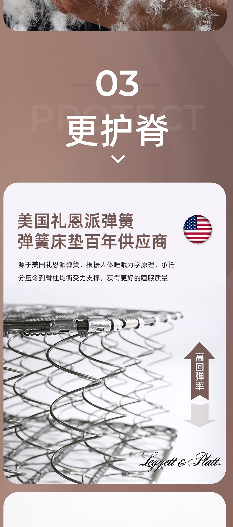 软文_08.jpg