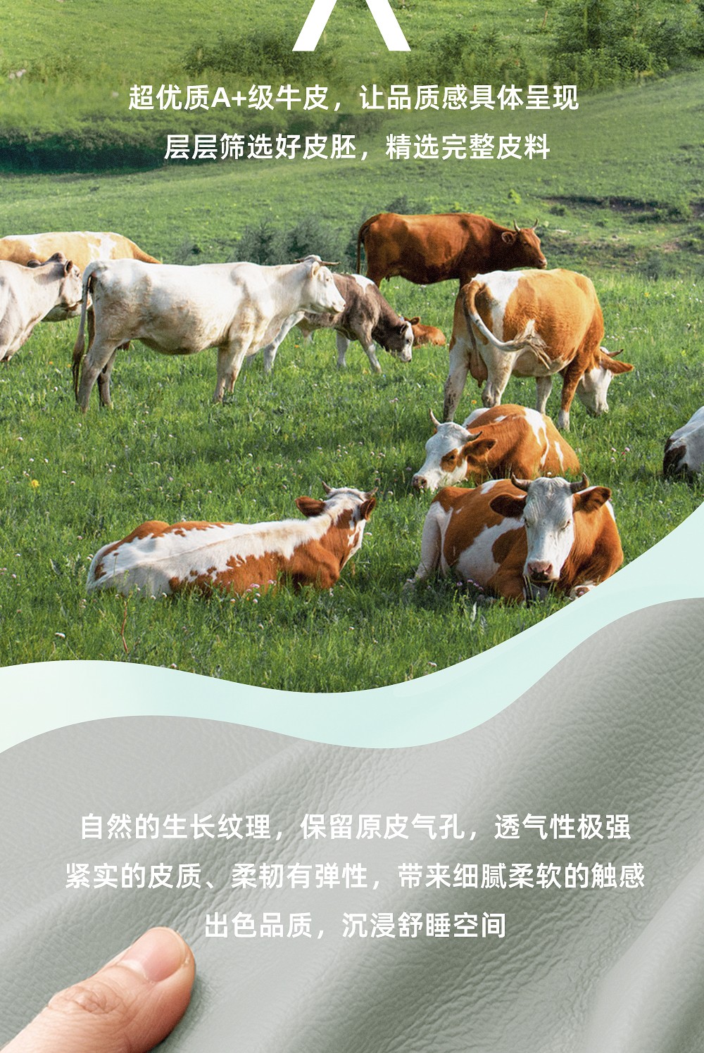 软文_04.jpg