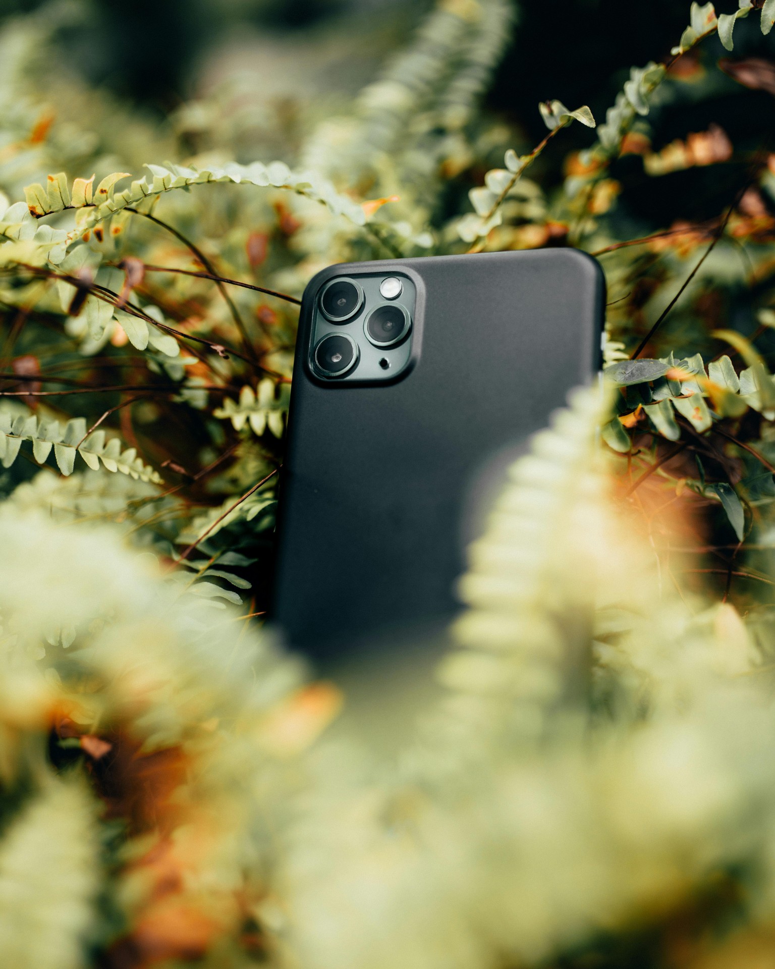 pexels-6.jpg