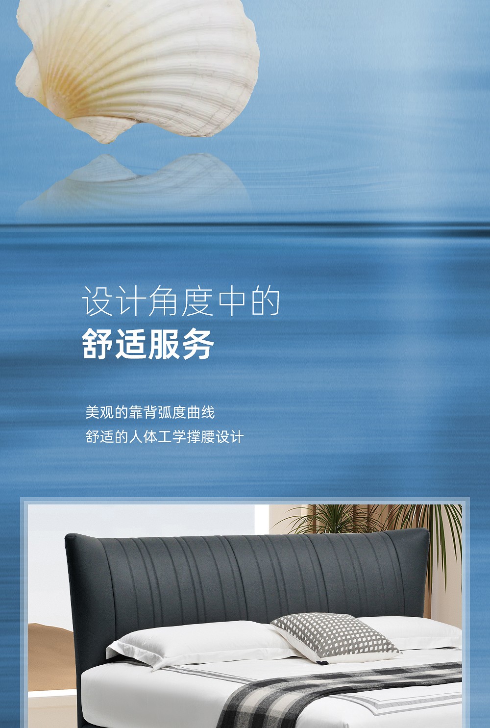贝壳软床(12)_03.jpg