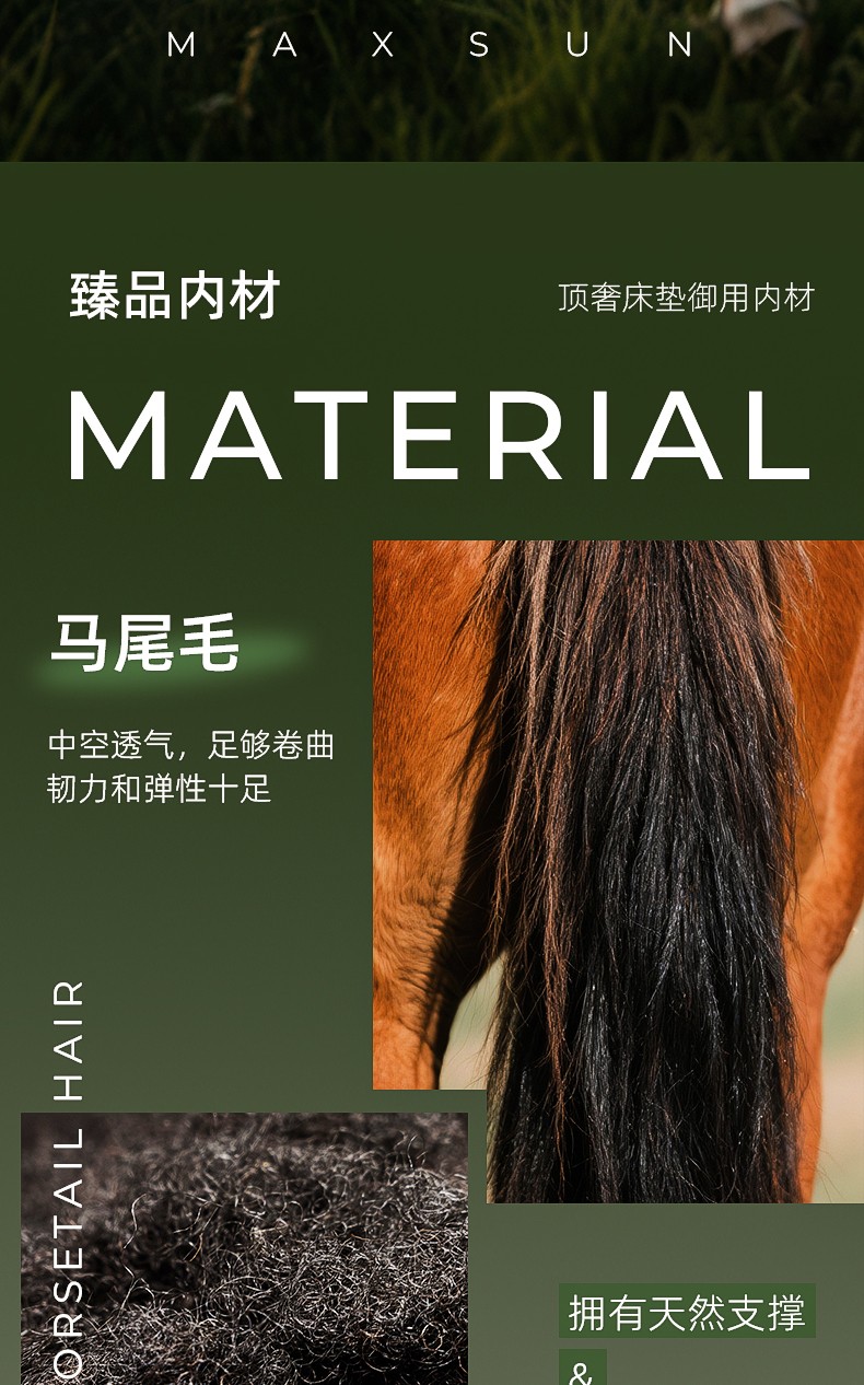 伊丽莎白_02.jpg