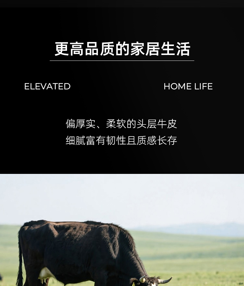 大黑熊软床_05.jpg