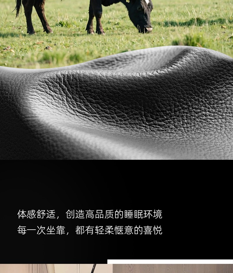 大黑熊软床_06.jpg