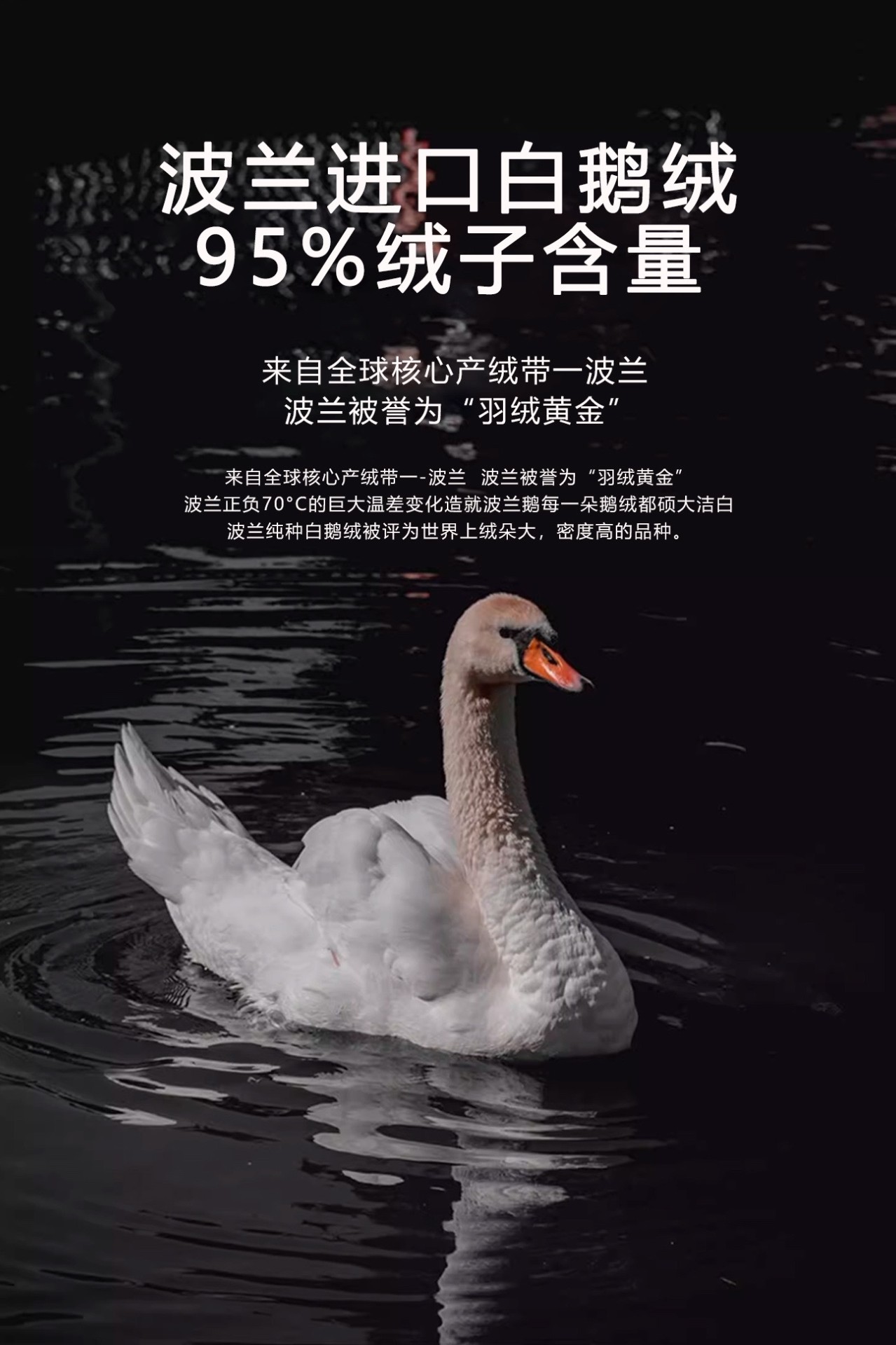 05 鹅绒枕-1.jpg