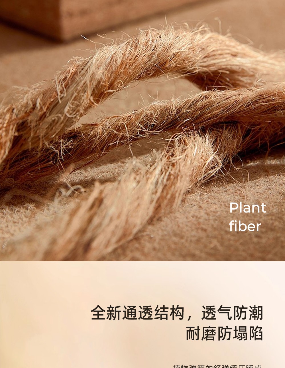 雅曼_05.jpg