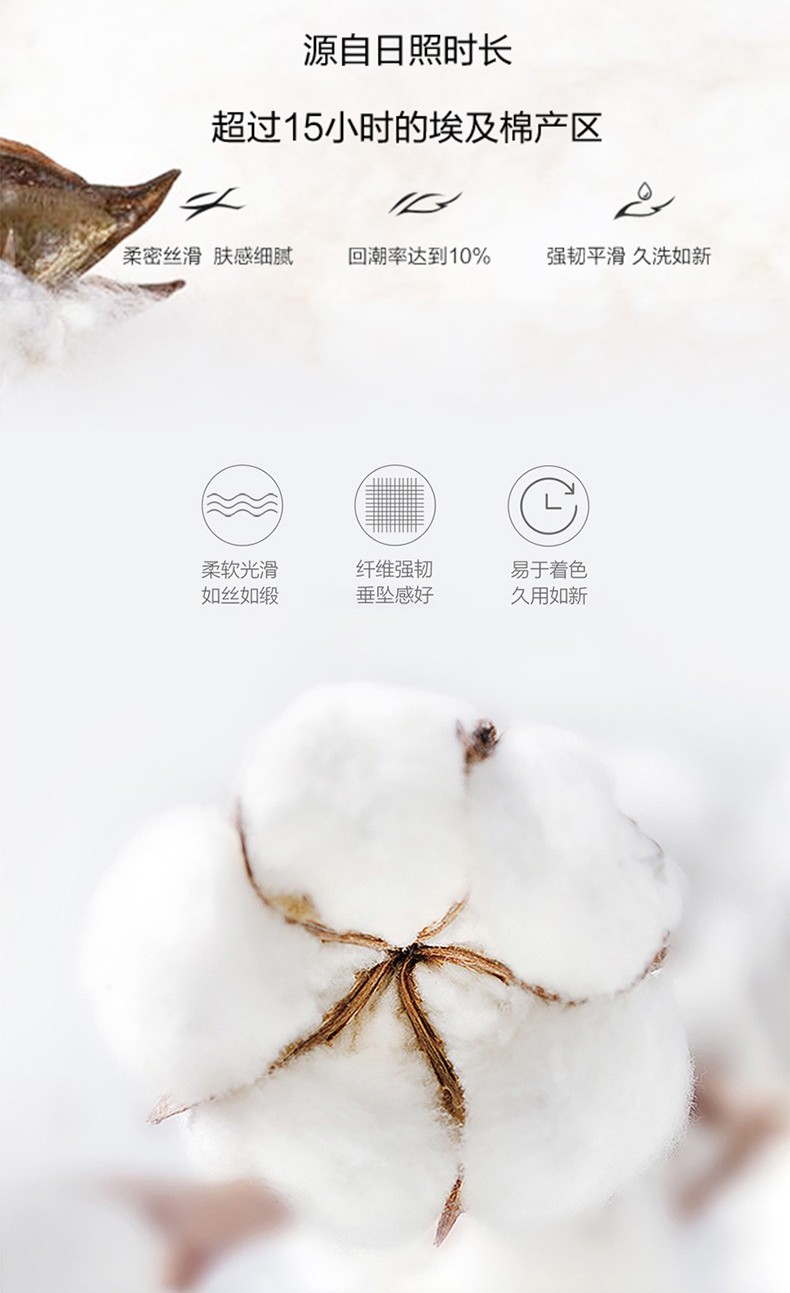 1761271596731056.jpg 棉花.jpg