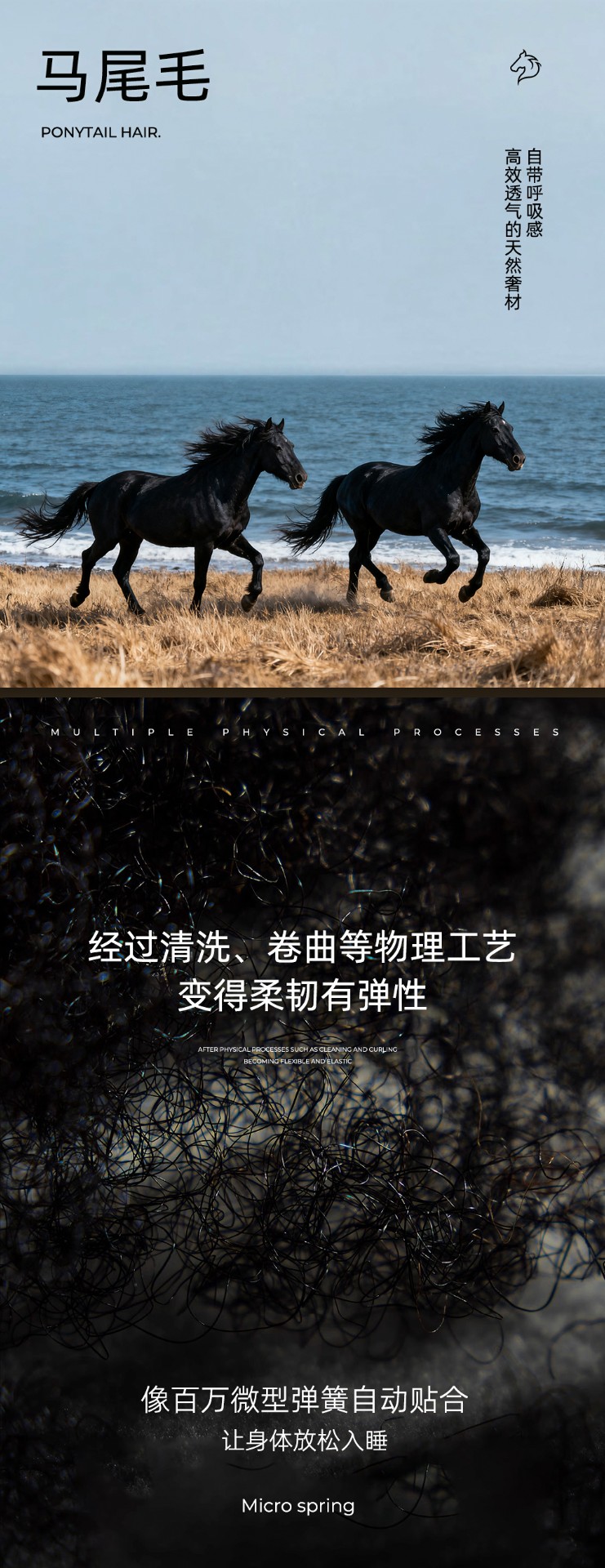 马尾毛.jpg